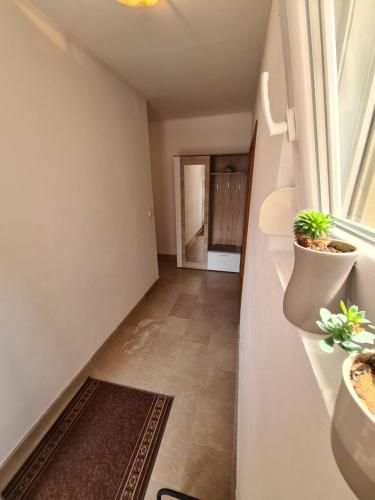 Trebisnjica in Trebinje