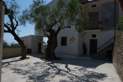Santo Mercurio Country House - 숙소 외관