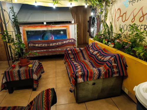Passion Hostel - Barranco in Lima