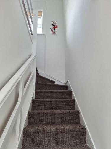 The Red Door in Birr