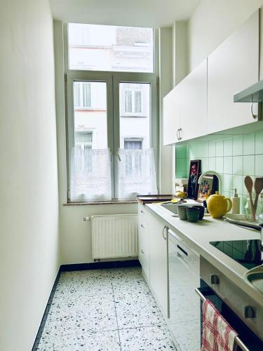 Chaleureux appartement aux Marolles, Brussels (photo 6)