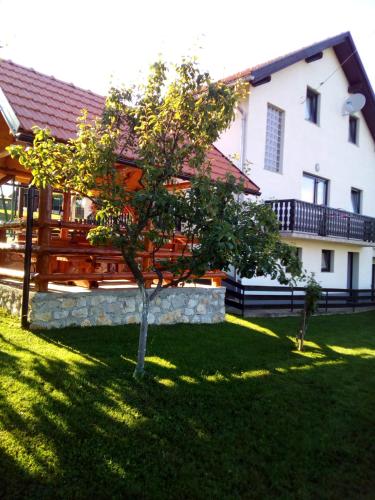  Apartments Dale, Pension in Smoljanac