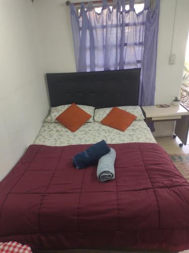 Amanecer Campestre bajo el Ceibo