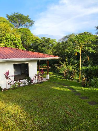 Hacienda Mil Bellezas - Private 40ha Jungle Reserve in Suburbs