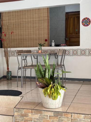 Depa Koral in เปอร์โต้ ลิมอน