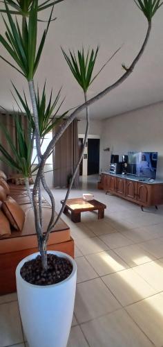 Iekārtas, Hospedaria Em Lagoa - Apto 103 - Residencial Cota in Lagoa Da Prata