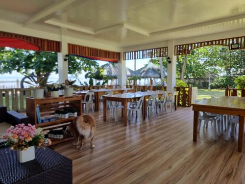 Nanay Santa's Garden Beach Resort in Bocboc