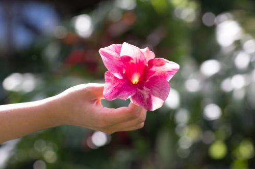 Lumeria Maui, Educational Retreat Center