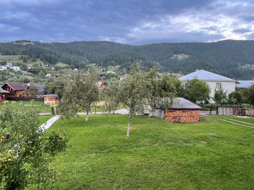 Pidkova, Verkhovyna (photo 10)