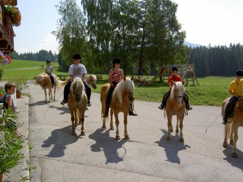 Hotel Stockerwirt - image 11