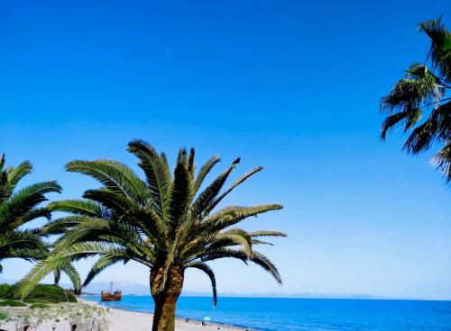 Artemis House in 法里斯