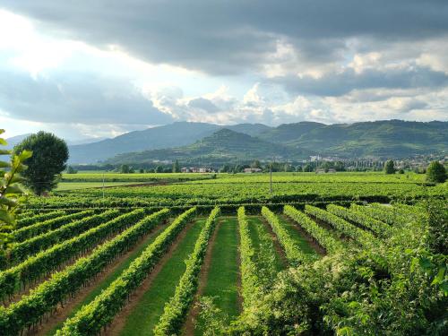 Villa Le Meridiane - Luxury apartment n1 in Gambellara (Vicenza)