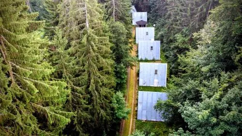 Hütte Tannengrün - Ruheort mitten im Wald in Eibenstock, Deutschland