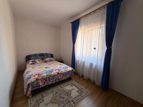 Pensiunea Vladut Timisoara - image 2