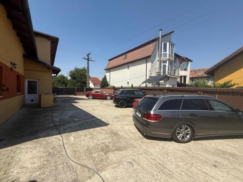 Pensiunea Vladut Timisoara - image 7