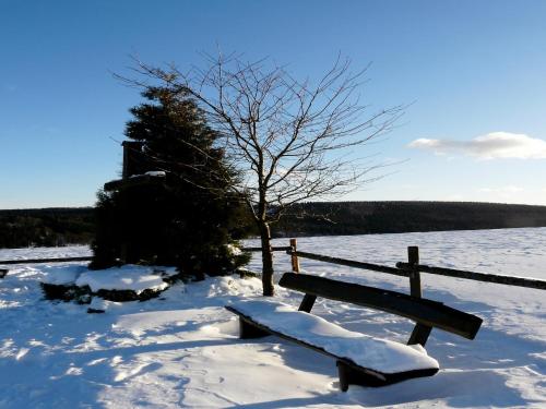 Comfortable Holiday Home in Neuastenberg with Sauna - image 8
