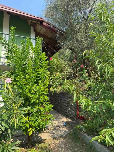 Apartmani Lovorike in Meljine