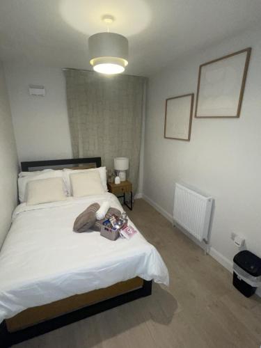 The Sheltuh, Dublín (foto 9)