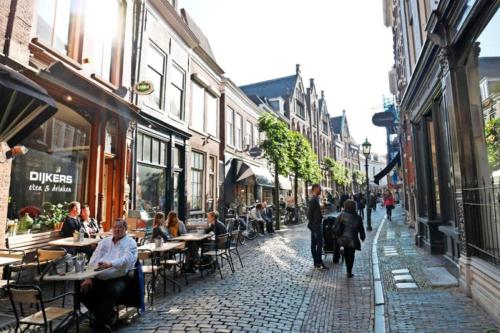 View, Family home in Haarlem with garden, near beach & Amsterdam in Sinnevelt