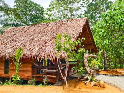 Kert, TheJungleGuide - Lodges & Treks in Bukit Lawang