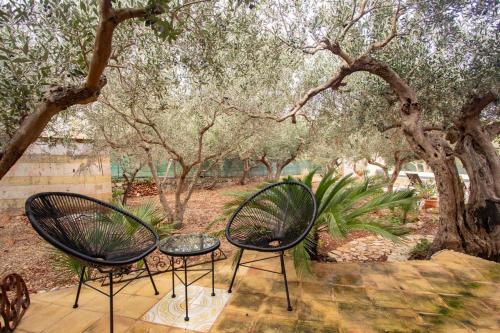 Casale Domenica in Castelluzzo