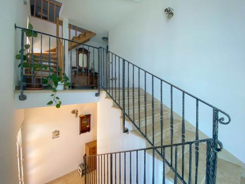 Apatrment Camilla in Dajla