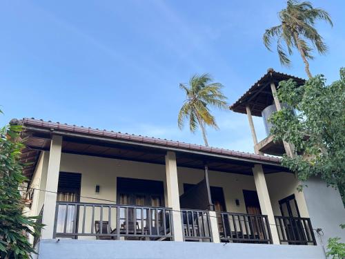 Green turtle, Tangalle (zdjęcie 10)