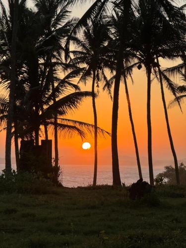 Green turtle, Tangalle (zdjęcie 7)