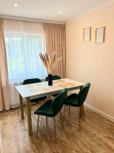 Apartament Gold - Góry Sowie - Głuszyca