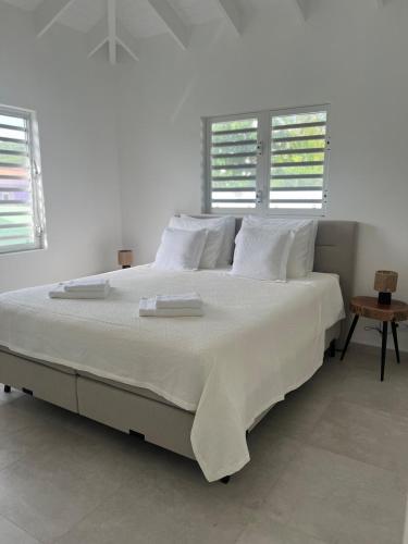 Villa with private pool close to the most beautiful beaches! in 方滕