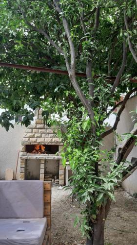 Summer with family friends in Tigzirt Garden & Terrace, Tigzirt (foto 7)