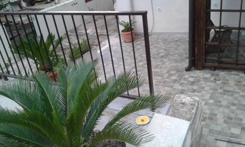 Il Pergolato – Matera, TX