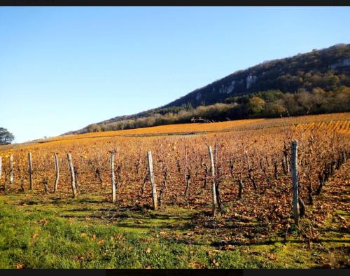 Et la froumi in Lavigny