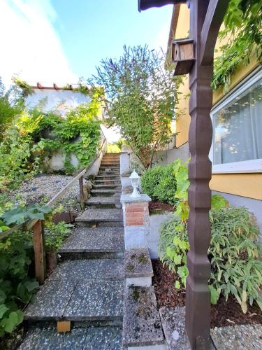 Vedere exterior, Sonnenberg im Haus Auszeit 2 BR Fahrradgarage Parken in Leinsweiler