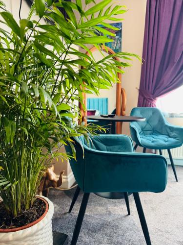 Super King, Close to Beach, Shops, Train, Shared Bathroom 3