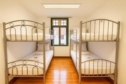 Private Room (8 Single Bunk Beds)