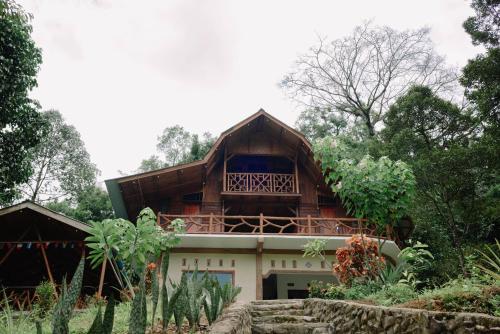 Bukit Lawang - Butu Kapal Rimba House, Timbanglawang (fotografie 4)