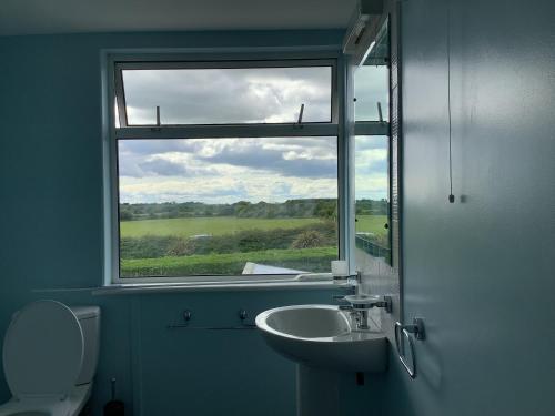 Youngstown in Barntown