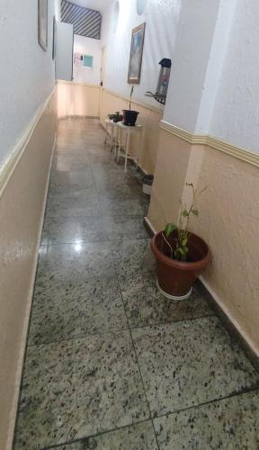Hotel talismã (Hotel talisma) in วีลามาติลเด