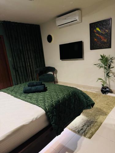 Skyluxe Designer Suites with rooftop Pool Gym Sauna & Self Check In - image 3