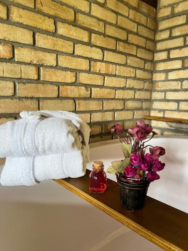 Pousada Rio da Prata in โปรเกรสโซ