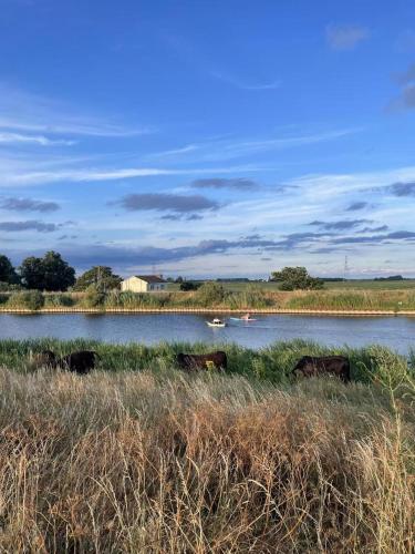 Gilead Grace House in Littleport East