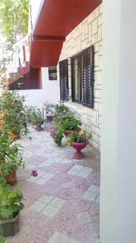Apartment - Ground Floor image 2