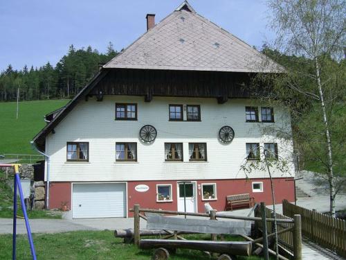 Hinterhauensteinhof - Apartment - Hornberg