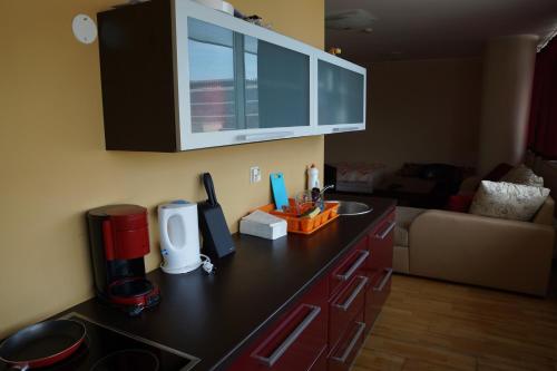 Viru väljak 6 Apartment, Таллин (фото 6)