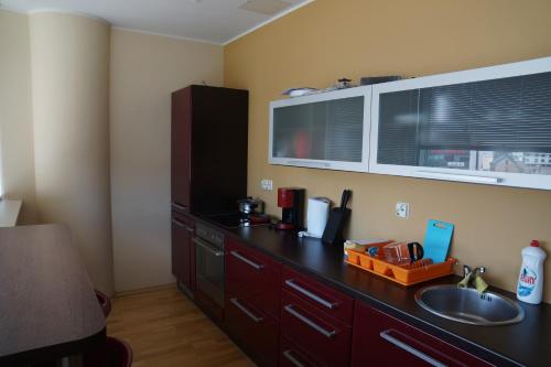 Viru väljak 6 Apartment, Таллин (фото 7)