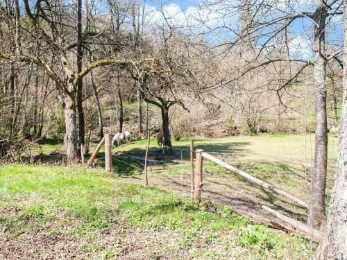 Welcoming Holiday Home in Stoumont with Terrace - main image