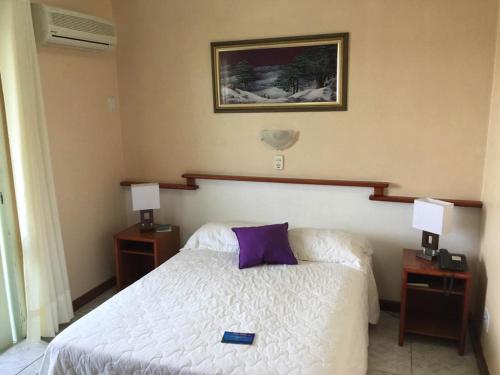 法莱斯图里斯酒店