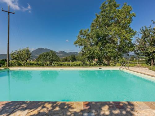 Relax & Unwind in Umbria, Umbertide (photo 9)