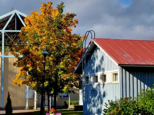 ซาวน่า, Taideniityn PikkuTaika 1-2lle in วารเกาส์